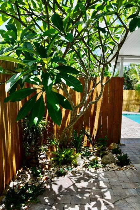 Tropical Retreat Near Beaches, Cruise Terminals Merritt Island Exterior photo